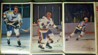 Vintage Stag Beer 1970's St Louis Blues Hockey Player Brochure New Old Stock S5