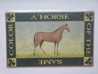 A Horse of the Same Color  Ohio Wholesale Inc. 16x10 Rustic Metal Signs  (28922)