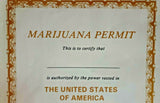 Vintage 1977 Poster Marijuana Permit Humors Jimmy "Grow your Own" Carter New