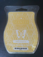 Scentsy Bar White Grapefruit 3.2 fl oz New