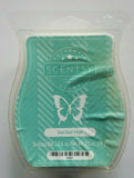 Scentsy Wax Bar Scent of the Month Sea Salt Mist Retired New Open Box