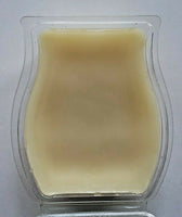 Scentsy Wax Bar Scent of the Month Sea Salt Mist Retired New Open Box