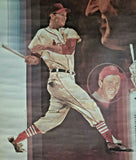 1970s St Louis Cardinals Stan Musial Coca Cola Coke Baseball Poster NOS 136