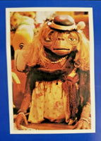 1982 E.T. Universal City Studios Promotional Movie Poster 35"X 23" 143