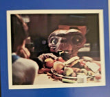 1982 E.T. Universal City Studios Promotional Movie Poster 35"X 23" 143