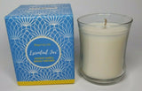 Partylite Essential Jar Candle New in Box Peppermint Snowflake P2H/G45846