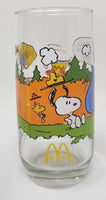 1980's Camp Snoopy Collection McDonald’s Drinking Glass Linus “No Picnic” W3