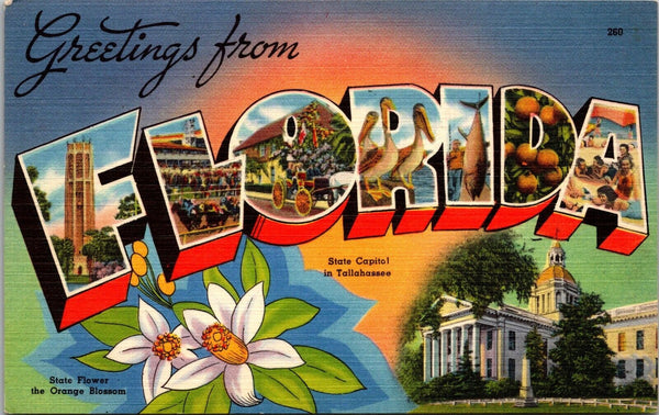 Greetings from Florida Postcard PC167