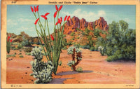 Ocotillo and Cholla "Teddy Bear" Cactus Postcard PC167