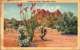 Ocotillo and Cholla "Teddy Bear" Cactus Postcard PC167