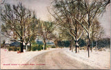 Winter Scene in Lincoln Park Chicago IL Postcard PC15