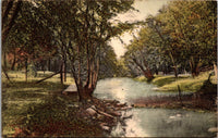 Near the City Springs Cedar Falls IA Postcard PC15