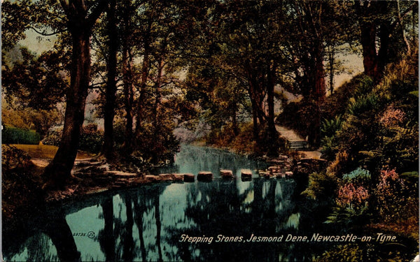 Stepping Stones Jesmond Dene Newcastle-on-Tyne England Postcard PC15