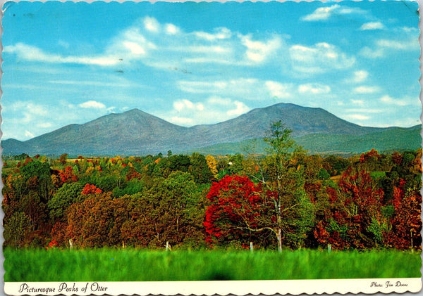 Picturesque Peaks of Otter Postcard PC149