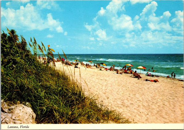 Picturesque Sand-an-Surf Lantana Florida Postcard PC151