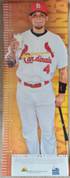 2013 Yadier Molina St. Louis Cardinals Dairy Makes Sense MO Farmer Care Poster