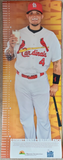 2013 Yadier Molina St. Louis Cardinals Dairy Makes Sense MO Farmer Care Poster