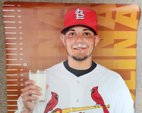 2013 Yadier Molina St. Louis Cardinals Dairy Makes Sense MO Farmer Care Poster