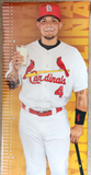 2013 Yadier Molina St. Louis Cardinals Dairy Makes Sense MO Farmer Care Poster