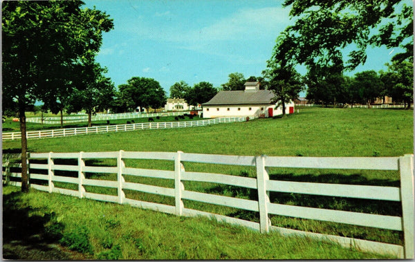 Picturesque Horse Farm Lexington KY Postcard PC100