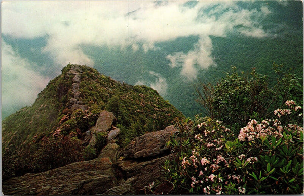 View from the Top of the Chimneys Smokey Mountains National Park Postcard PC54