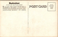 Section of World's Largest Bottling Plant Anheuser Busch STL MO Postcard PC195