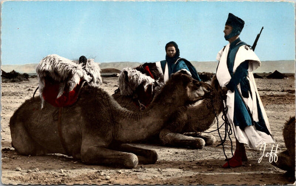 Picturesque Morrocco The Camel Riders Postcard PC175