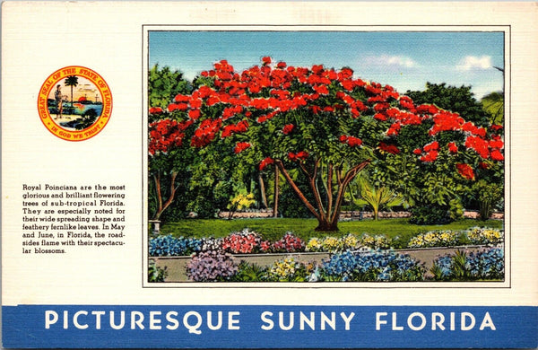 Picturesque Sunny Florida Postcard PC43