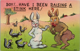 Boy! Have I Been Raising A Stink Here Vintage Comedy Postcard PC221