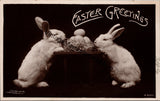 Easter Greetings Vintage Real Photo Postcard PC267