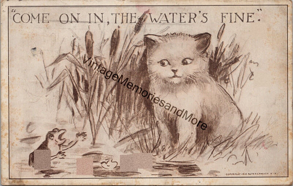 "Come On In, The Water's Fine" Vintage Illustrated Cat Postcard PC267