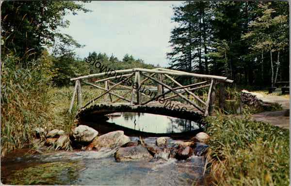 Picturesque Bridge Carries A Woodland Path over Stream Postcard PC288
