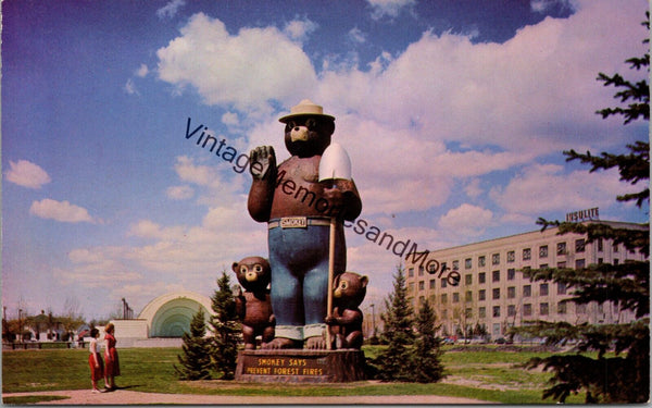 Smokey Bear International Falls Minnesota Postcard PC296