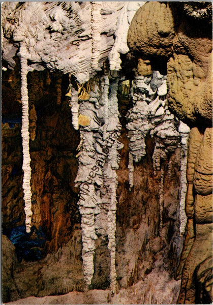 Picturesque Ardeche Stalagmites Group of Palm Trees French Postcard PC326
