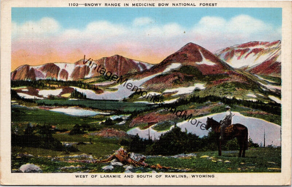 Snowy Range inn Medicine Bow National Forest WY Postcard PC321