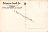 Stockhouse Anheuser-Busch Inc. St. Louis MO Postcard PC352