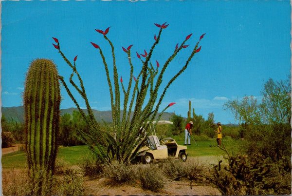Golfing at Carefree Arizona Postcard PC387