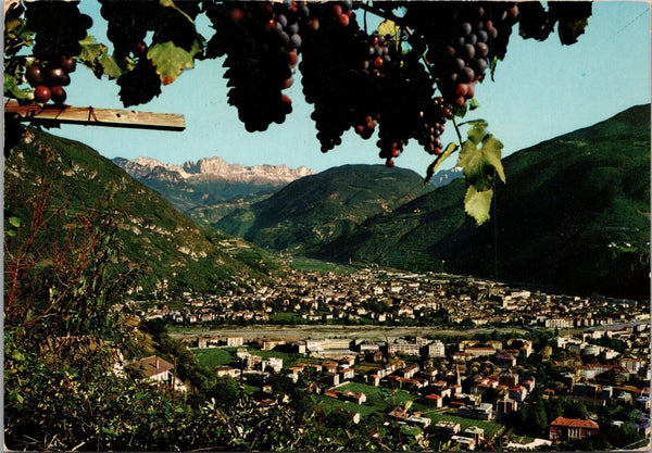 Bolzano Bozen Postcard PC386