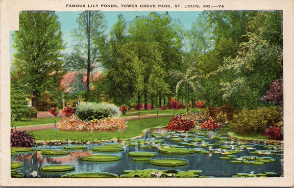Famous Lily Ponds Tower Grove Park St. Louis MO Postcard PC385