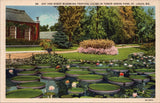Day/Night Blooming Tropical Lilies Tower Grove Park St. Louis MO Postcard PC385