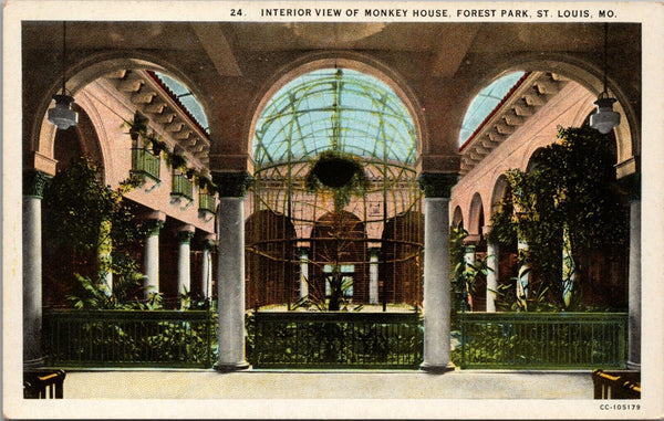 Interior View of Monkey House in Forest Park St. Louis MO Postcard PC385