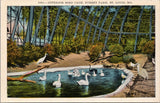 Interior Bird Cage Forest Park St. Louis MO Postcard PC385