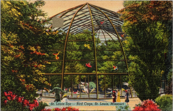 St. Louis Zoo Bird Cage St. Louis MO Postcard PC385