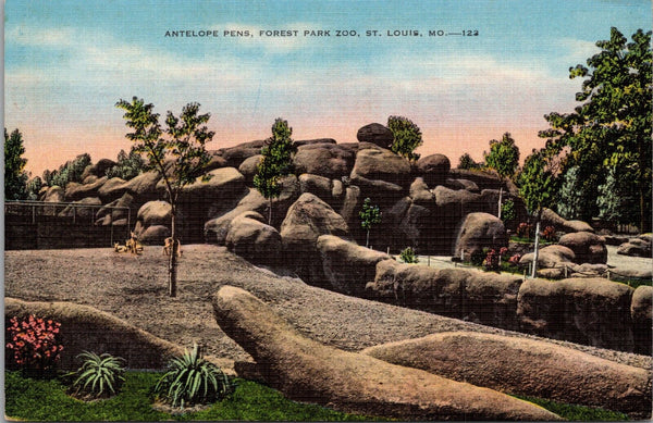 Antelope Pens Forest Park Zoo St. Louis MO Postcard PC385