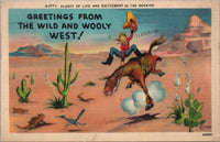 Greetings from The Wild and Wooly West Postcard PC384