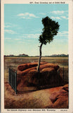 Tree Growing Out Of Solid Rock Wyoming Postcard PC383