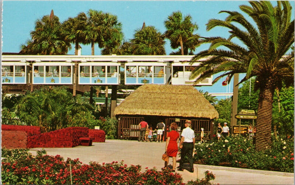 Busch Gardens Monorail Tampa FL Postcard PC406