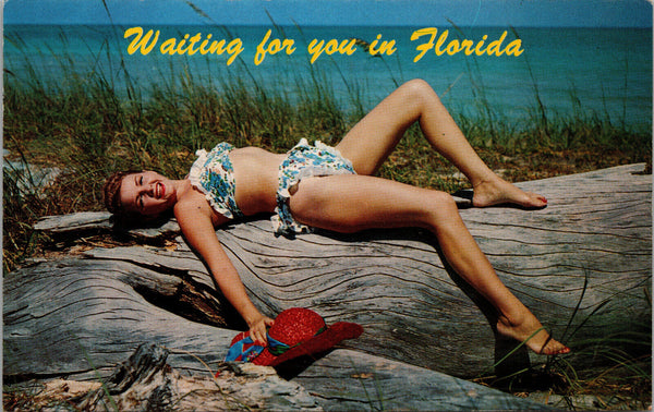Waiting For You in Florida Time Out For Sun Postcard PC395