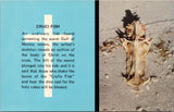 Cruci Fish Gulf of Mexico Postcard PC395