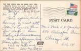The Red Apple Inn on Eden Isle Arkansas Postcard PC461